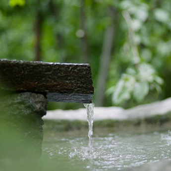 庭の水場