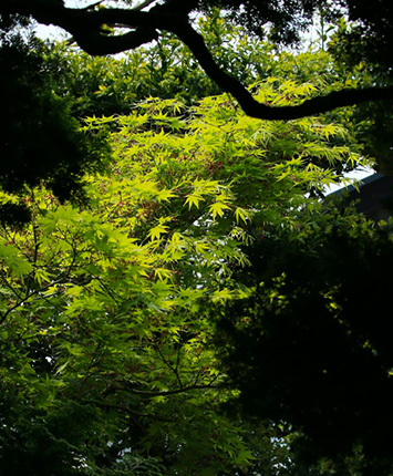 井筒楼の館内